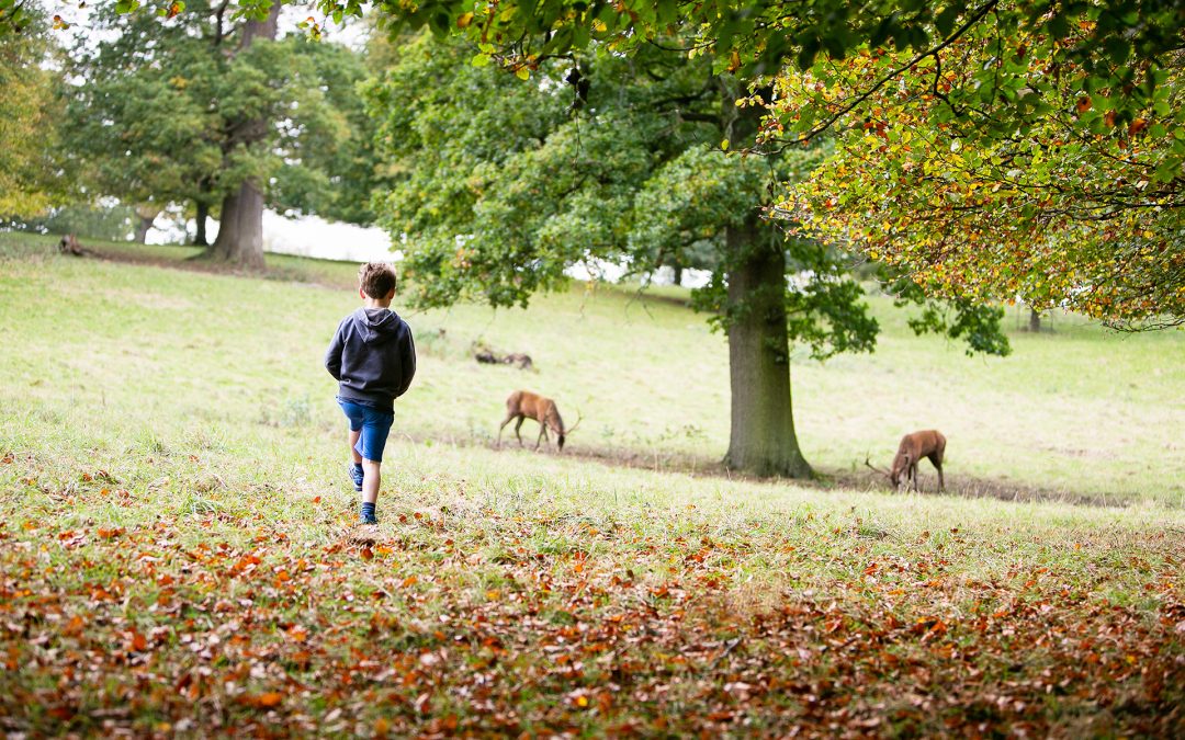Family photoshoot at Fountains Abbey